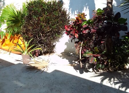 Exif_JPEG_420